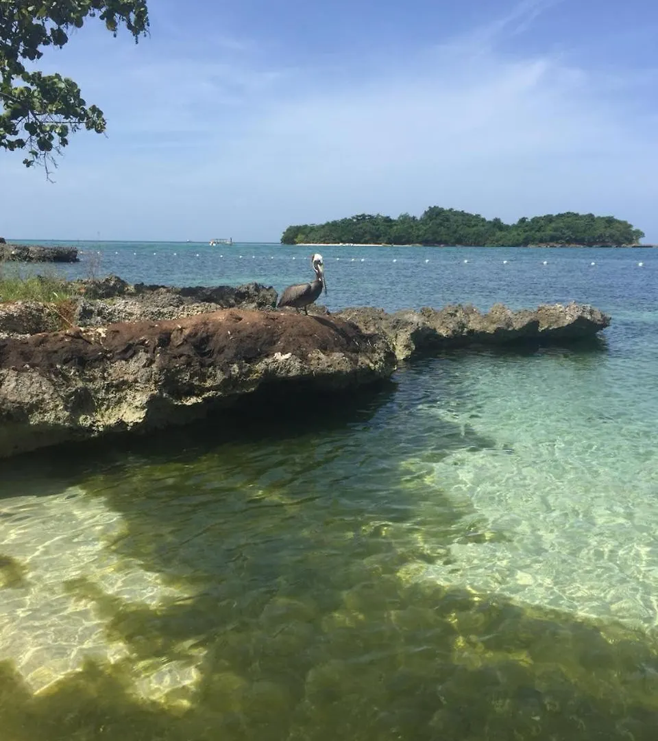 Daire 1 Bed Condo Ocean View Negril Jamaika